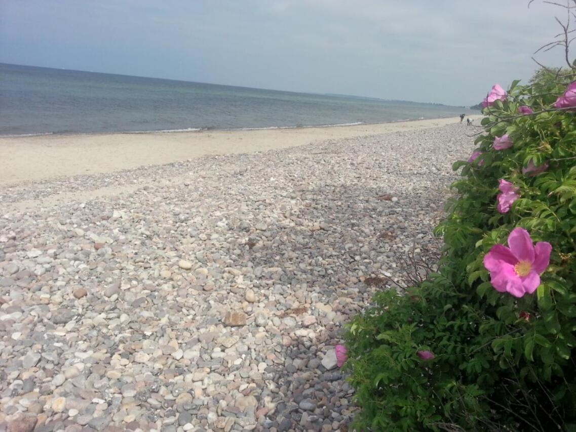 Finnhuette Von Mai Bis September Wittenbeck Exteriér fotografie